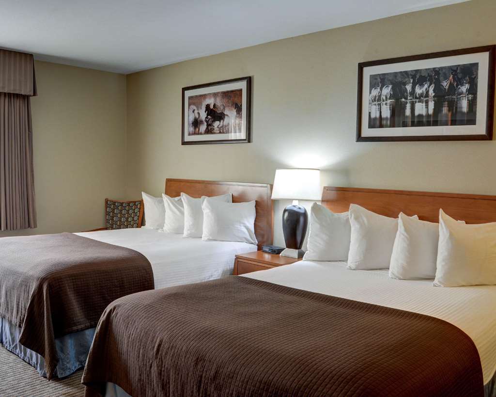 quality inn