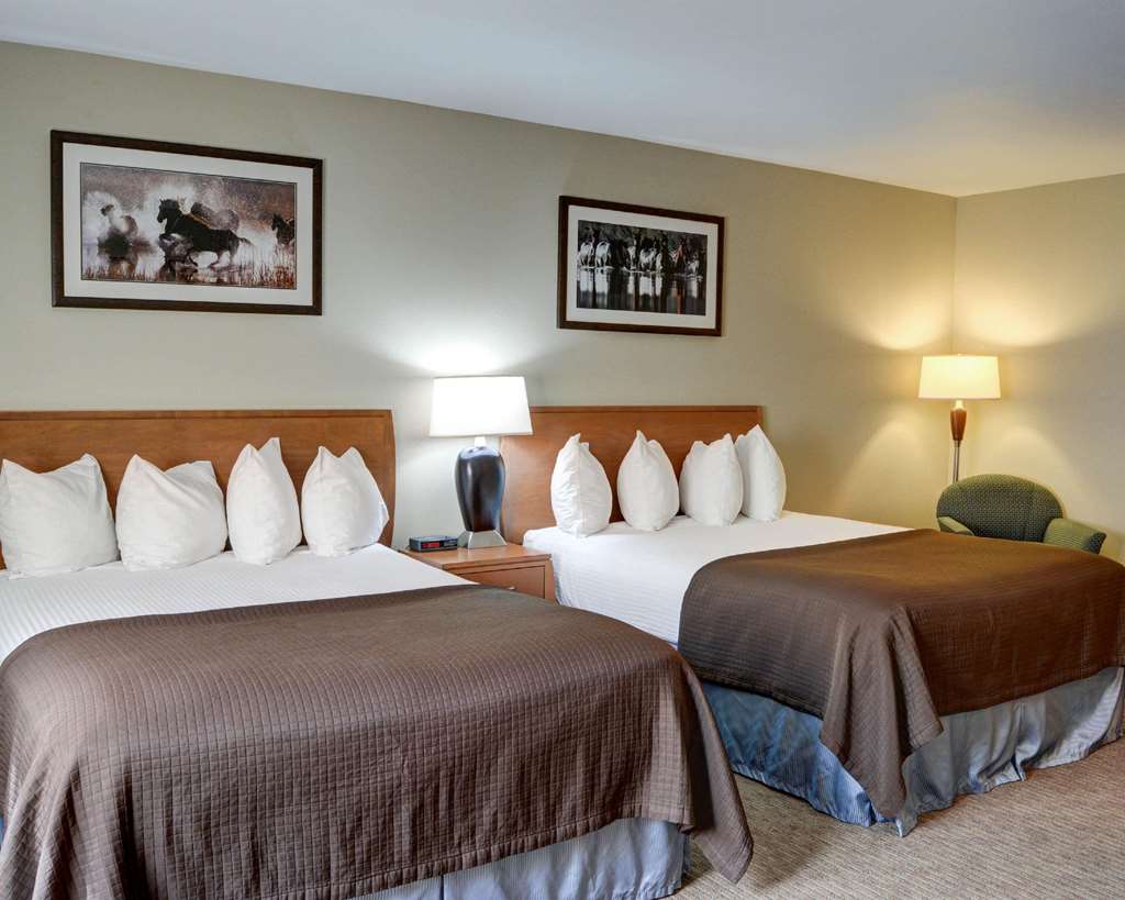 quality inn
