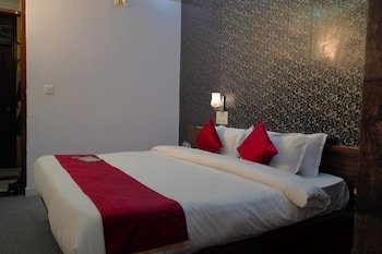 Hotel Umaid Villa,Sector 9,2 star