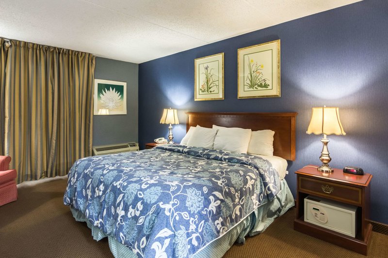 the plaza inn and suites