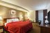 the plaza inn and suites