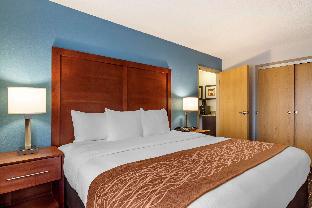 Comfort Inn & Suites Lees Summit - Kansas City,Kansas City>>Jackson,3 star