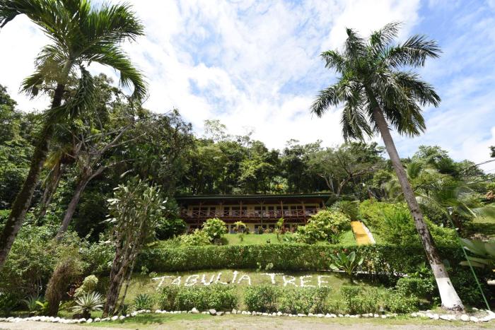 tabulia tree hotel and villas