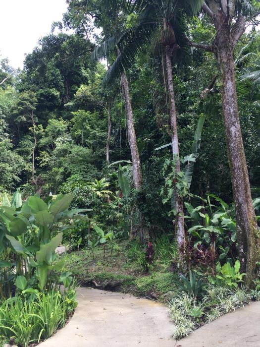 tabulia tree hotel and villas