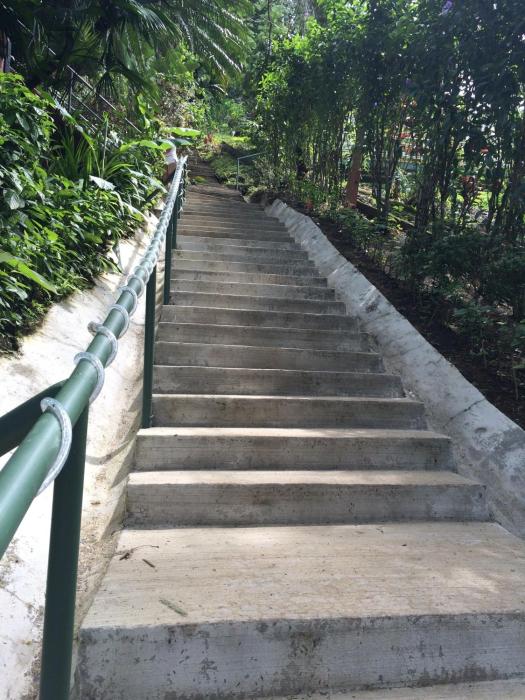 tabulia tree hotel and villas