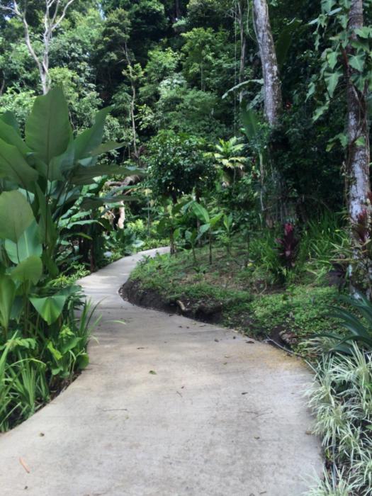 tabulia tree hotel and villas