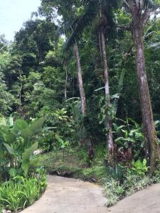 tabulia tree hotel and villas