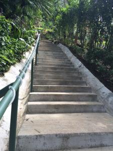 tabulia tree hotel and villas