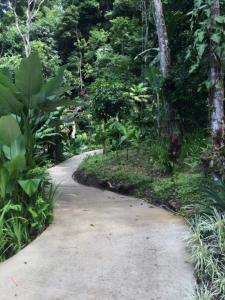 tabulia tree hotel and villas