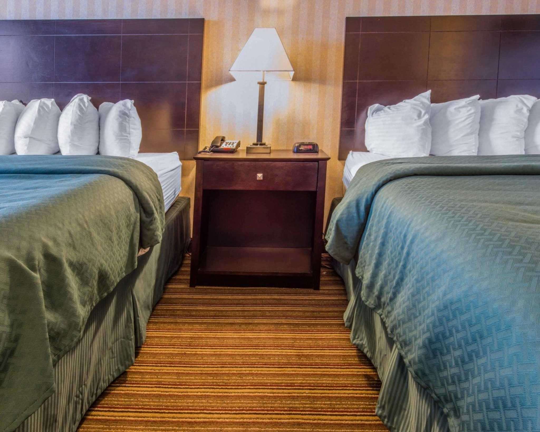 quality inn
