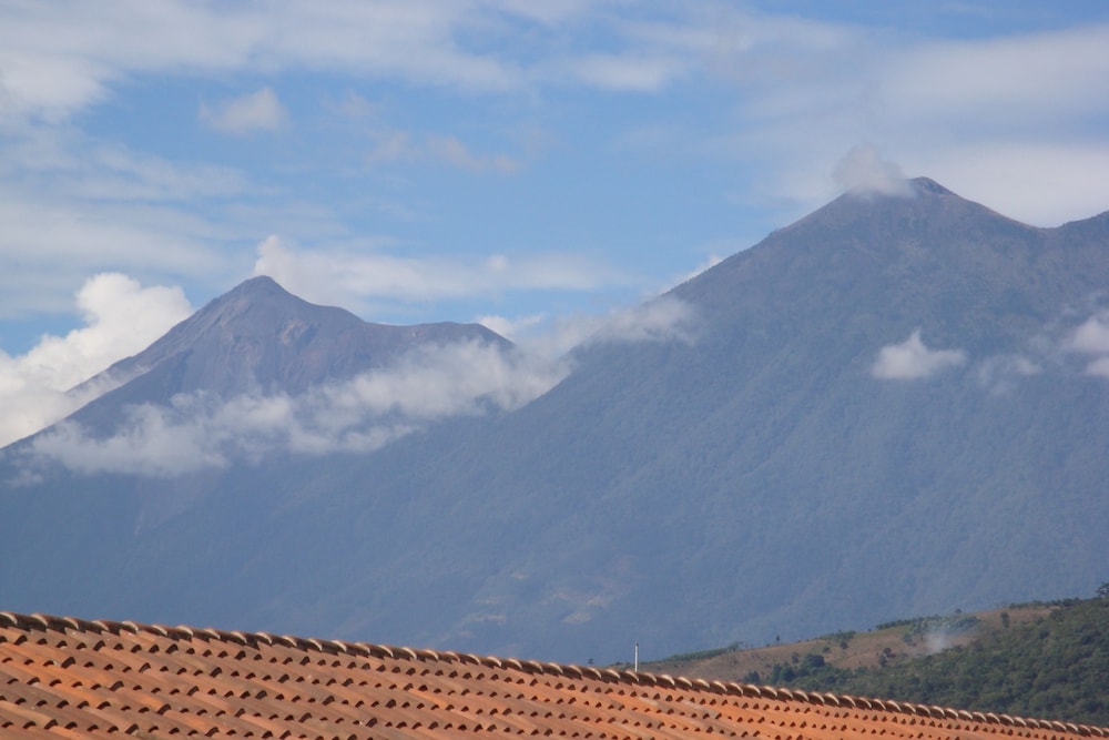 las camelias inn