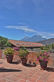 las camelias inn