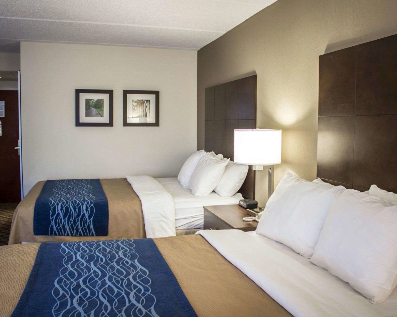 comfort inn and suites fuquay varina