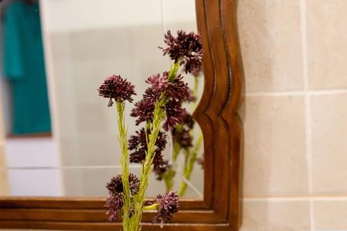 my rooms manacor centre by my rooms hotels