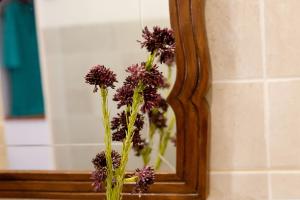 my rooms manacor centre by my rooms hotels