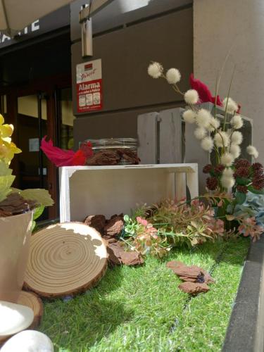 hotel el acebo