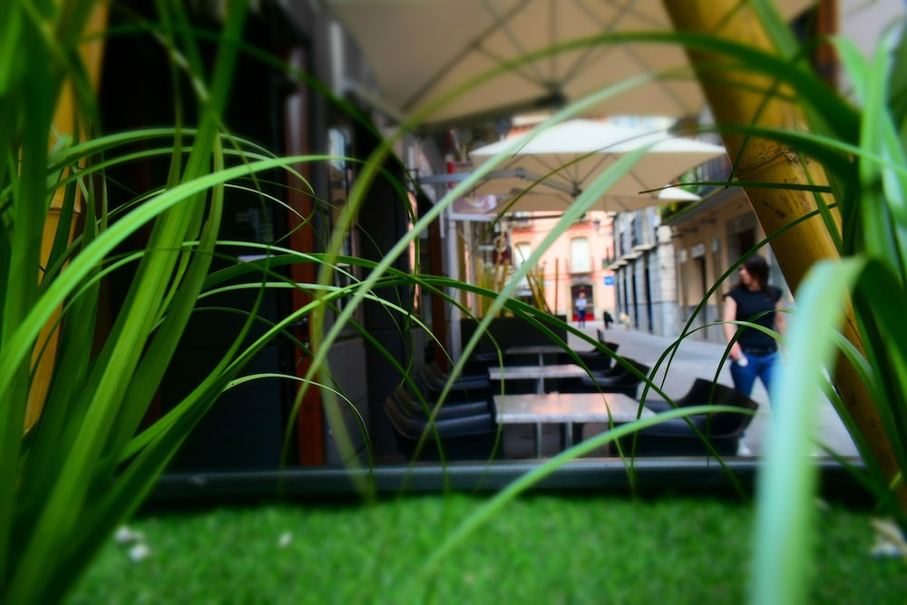 hotel el acebo
