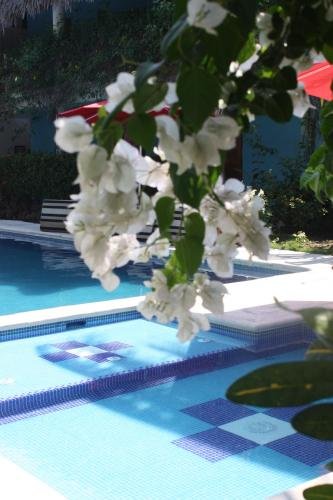 atelie del mar adults only