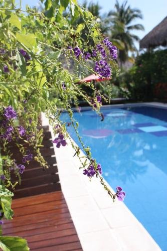 atelie del mar adults only