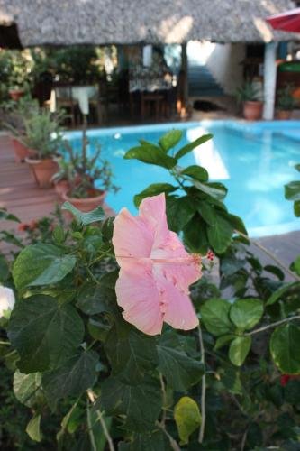 atelie del mar adults only