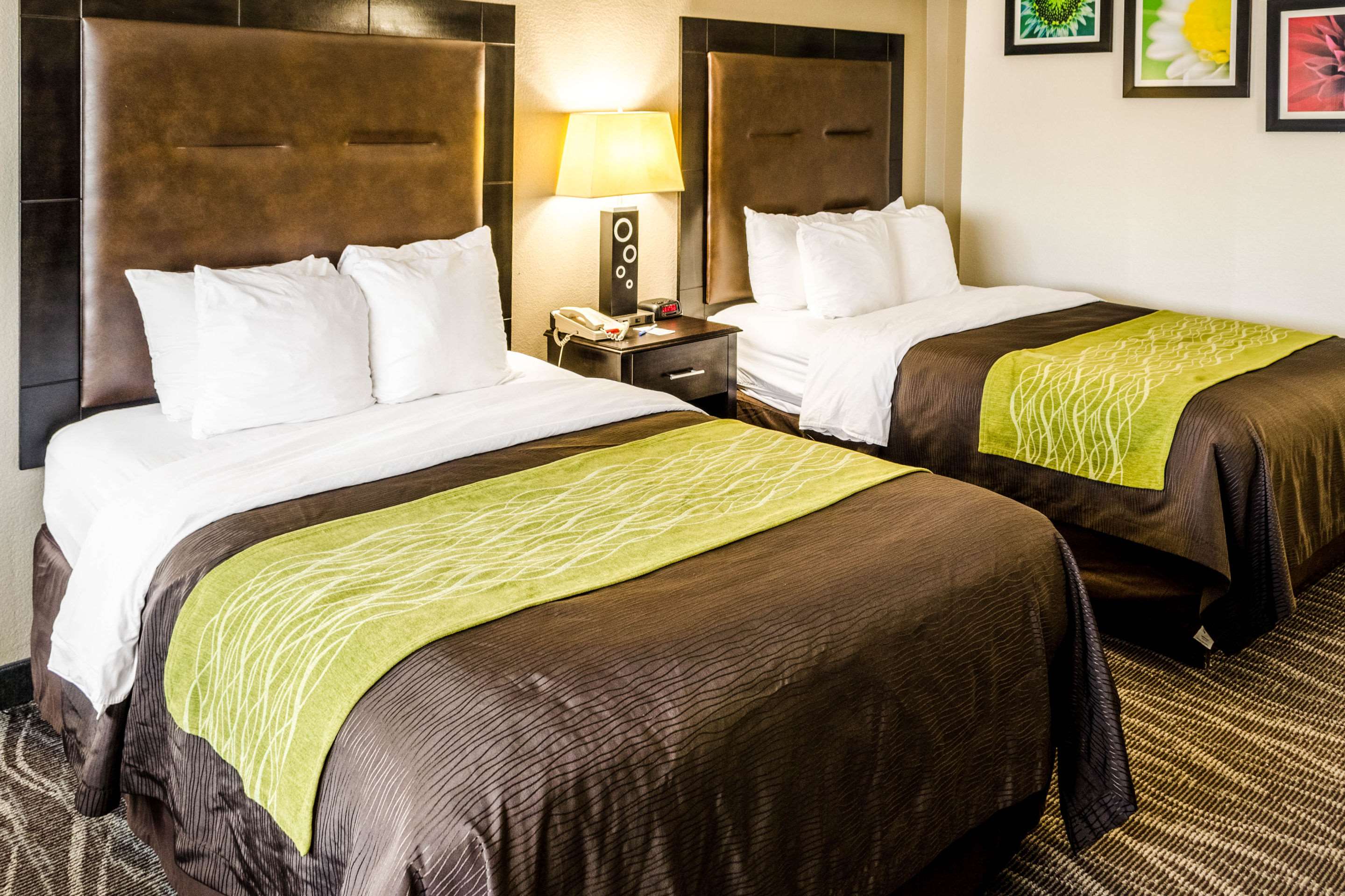 comfort inn downtown charleston