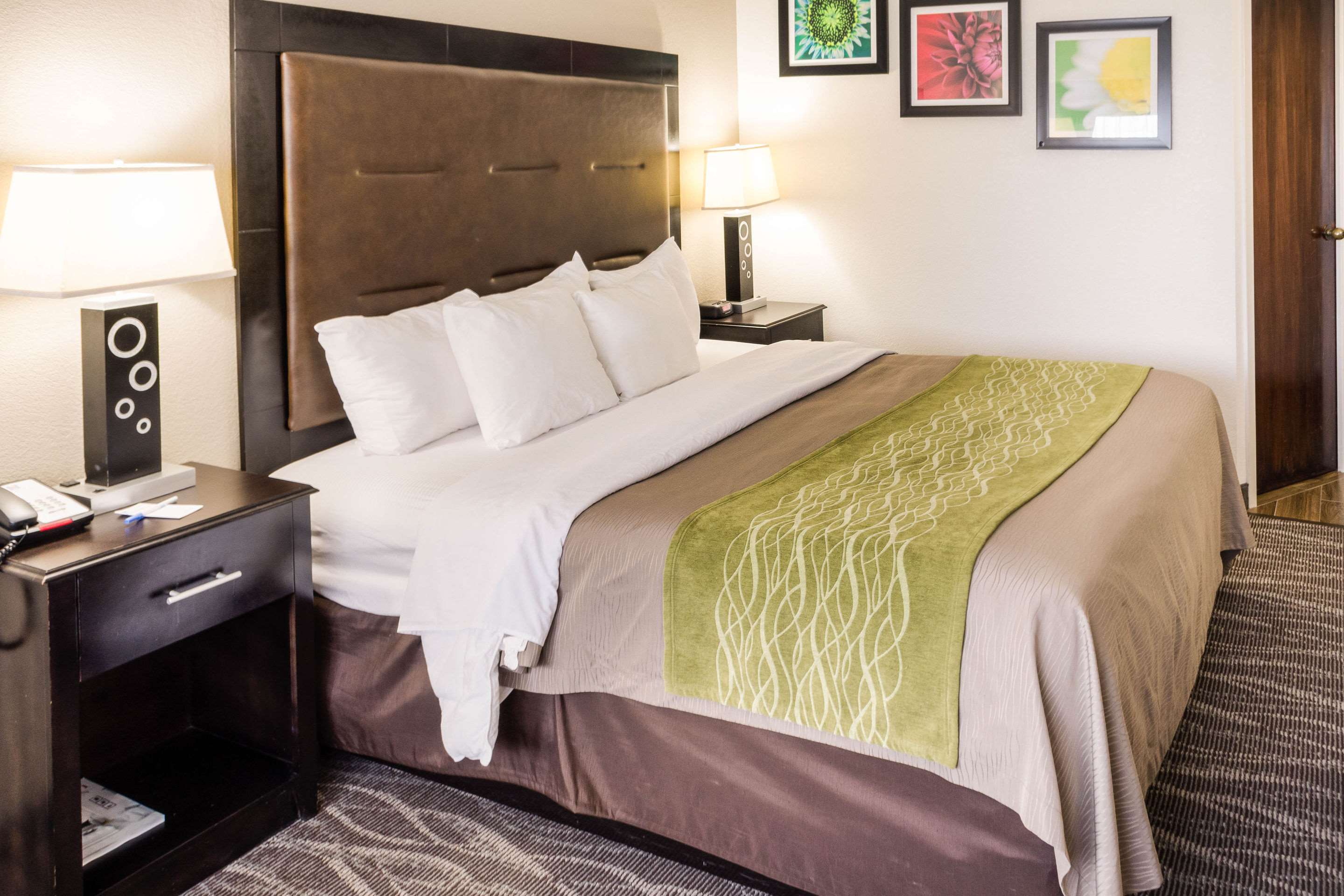 comfort inn downtown charleston