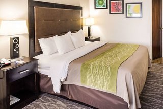 comfort inn downtown charleston