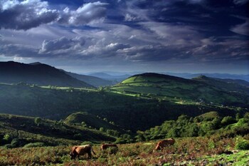 Alojamiento Calzada Romana,Belmonte De Miranda>>Asturias,2 star