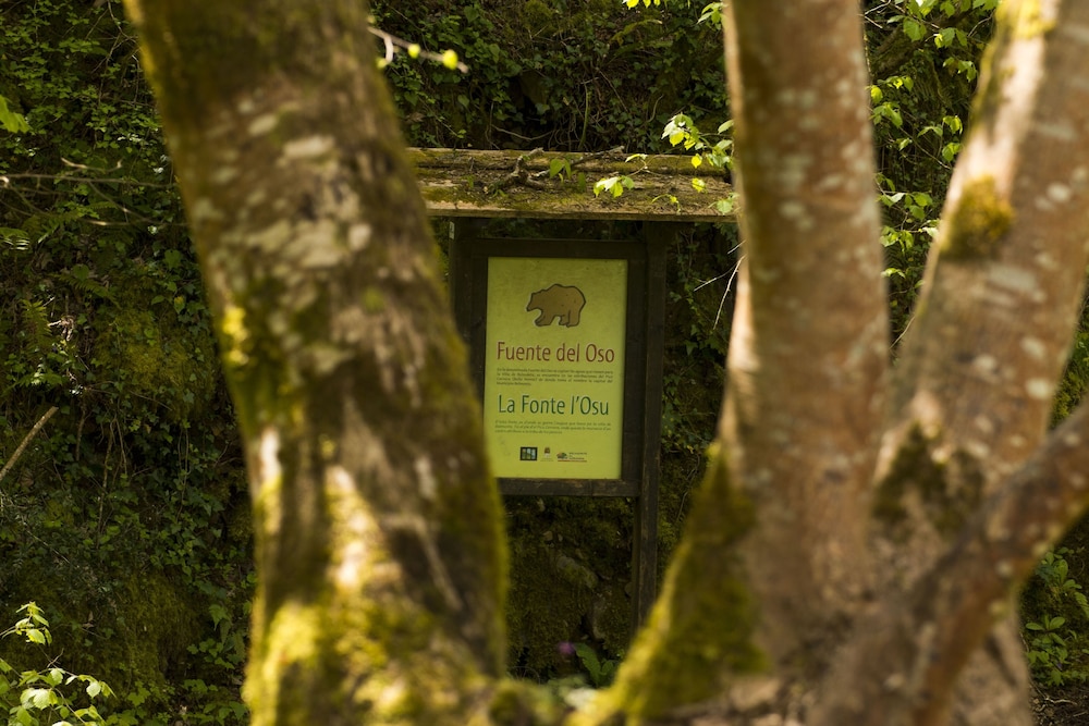 alojamiento calzada romana