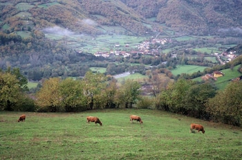 alojamiento calzada romana