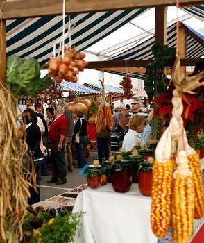 alojamiento calzada romana