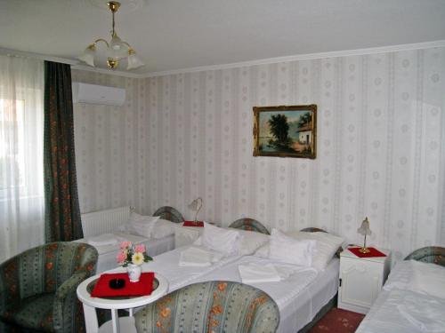 tokajer wellness panzio