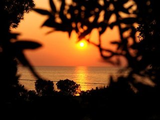 delfinia hotel and bungalows