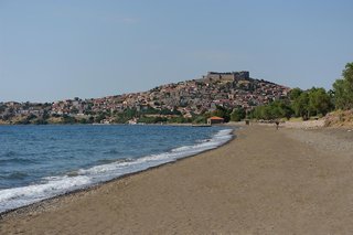 delfinia hotel and bungalows