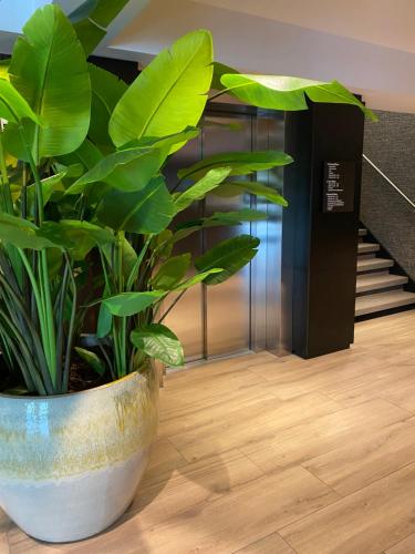 Hotel Gorinchem,Rotterdam>>Gorinchem,4 star