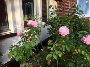 hotell turistgarden i simrishamn