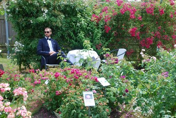 hotell turistgarden i simrishamn