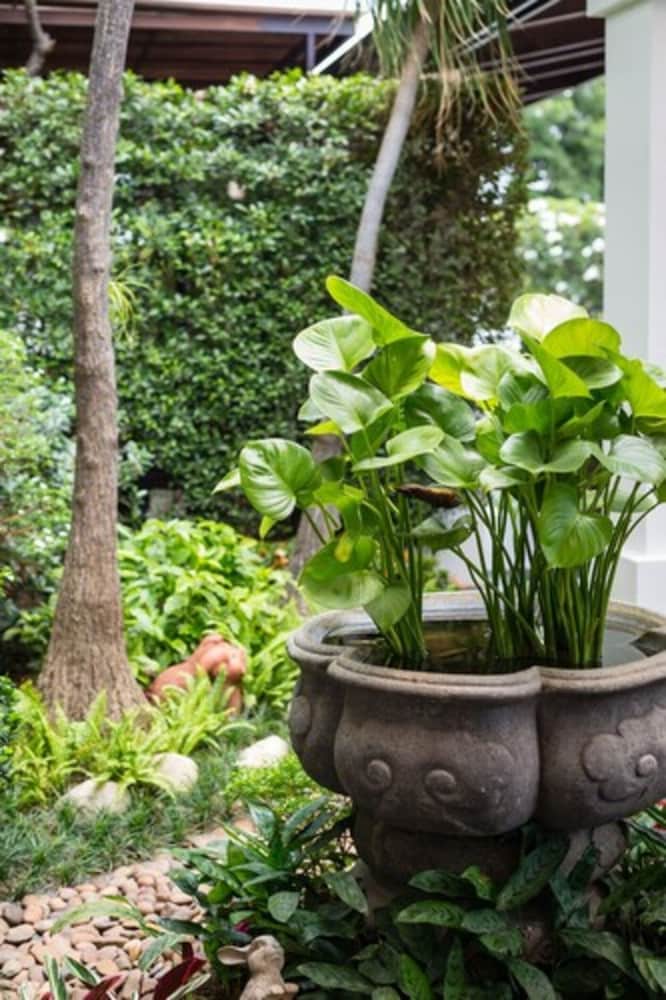 asia hotels group poonpetch chiangmai