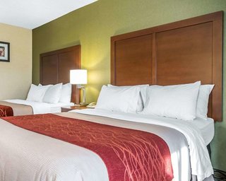 Comfort Inn,Lexington>>Kentucky,3 star