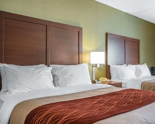 Comfort Inn,Lexington>>Kentucky,3 star