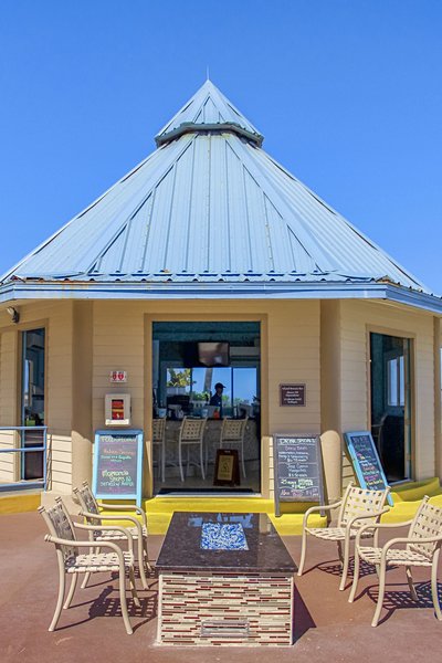 hilton vacation club daytona beach regency