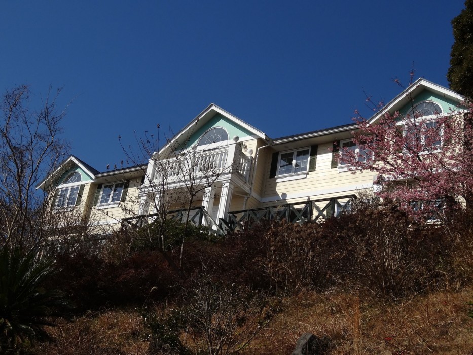 pension liberty hill