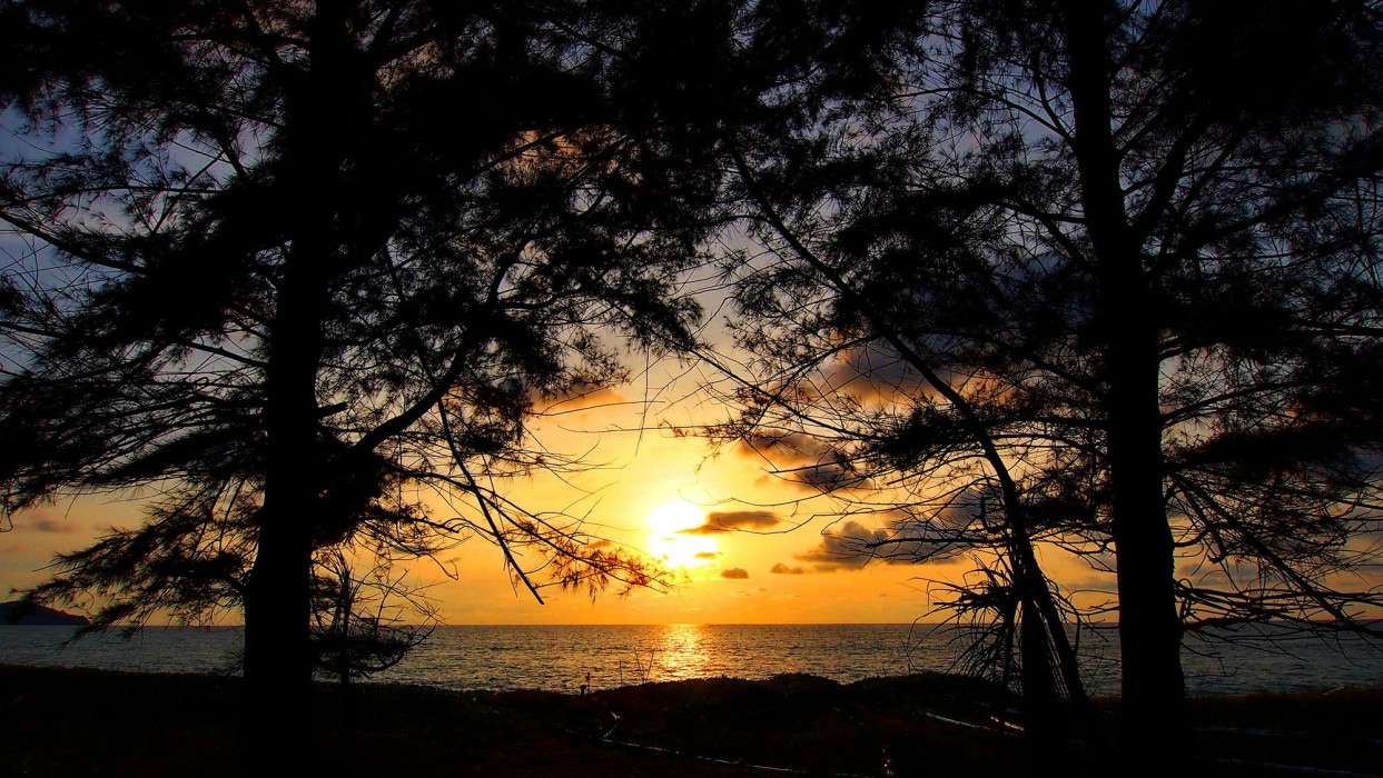 ideo phuket hotel