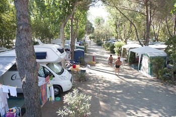 New Camping Le Tamerici,Livorno>>Cecina,3 star