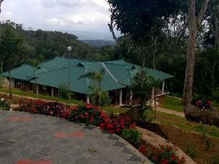 Neelakurunji Plantation Munnar