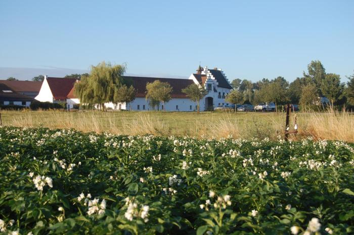La Ferme Delgueule,Néchin>>Tournai,4 star
