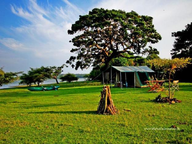 the yala camping