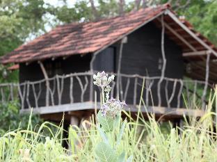 eagles wings guest house