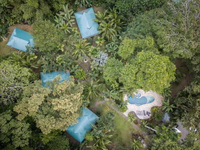 el nido jungle lodge