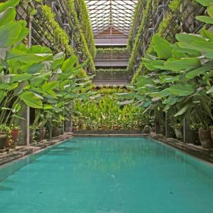 greenhost boutique hotel